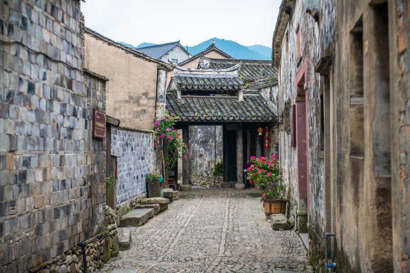 数码宝贝究极对决